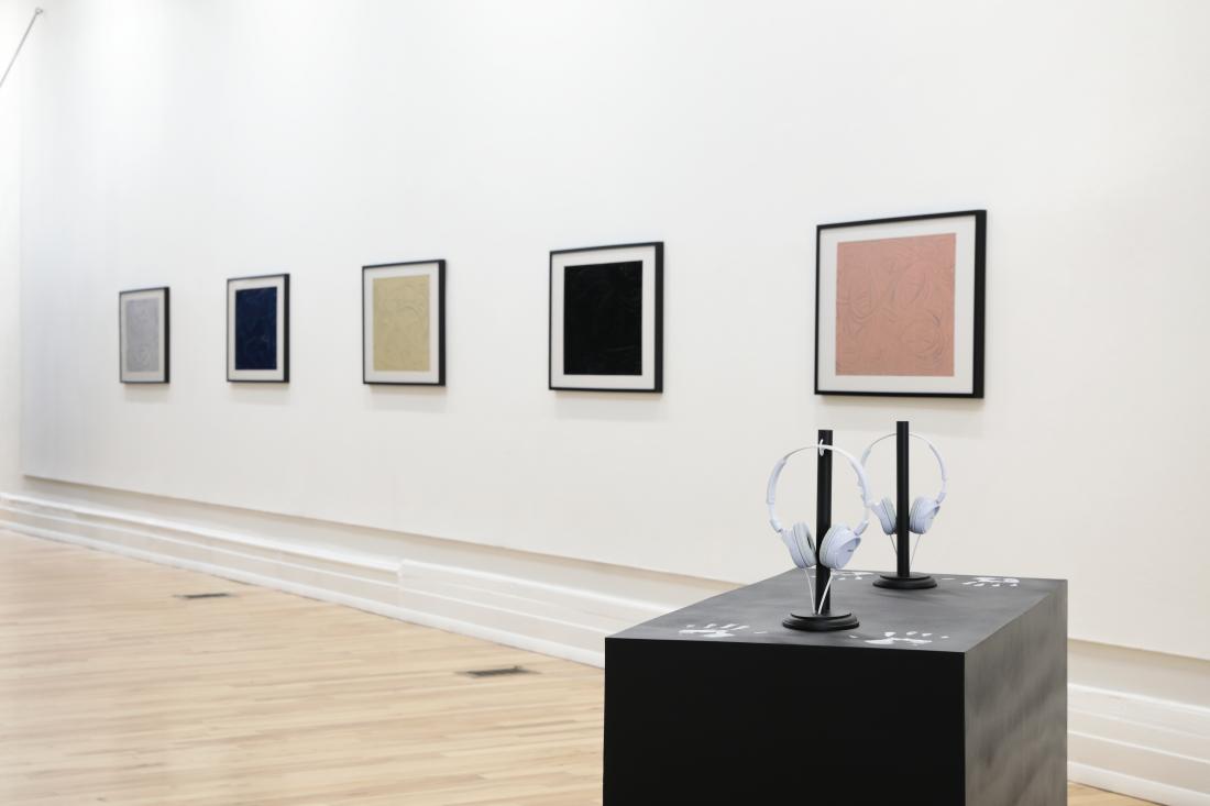 Photo Courtesy of David Hale